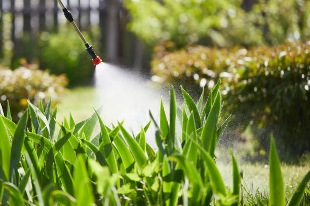 Tamper-Resistant Bait Stations for Rodents in Olean