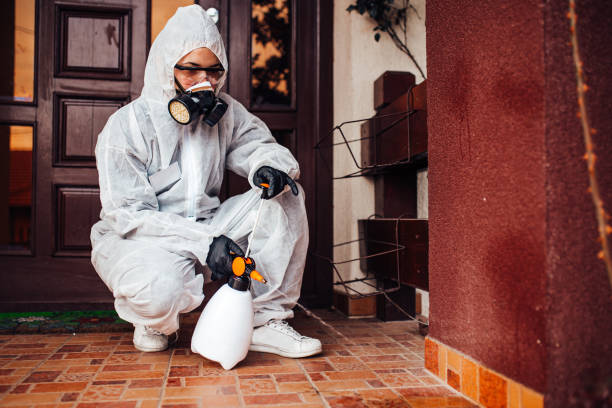 Attic and Crawl Space Rodent Treatment in Olean
